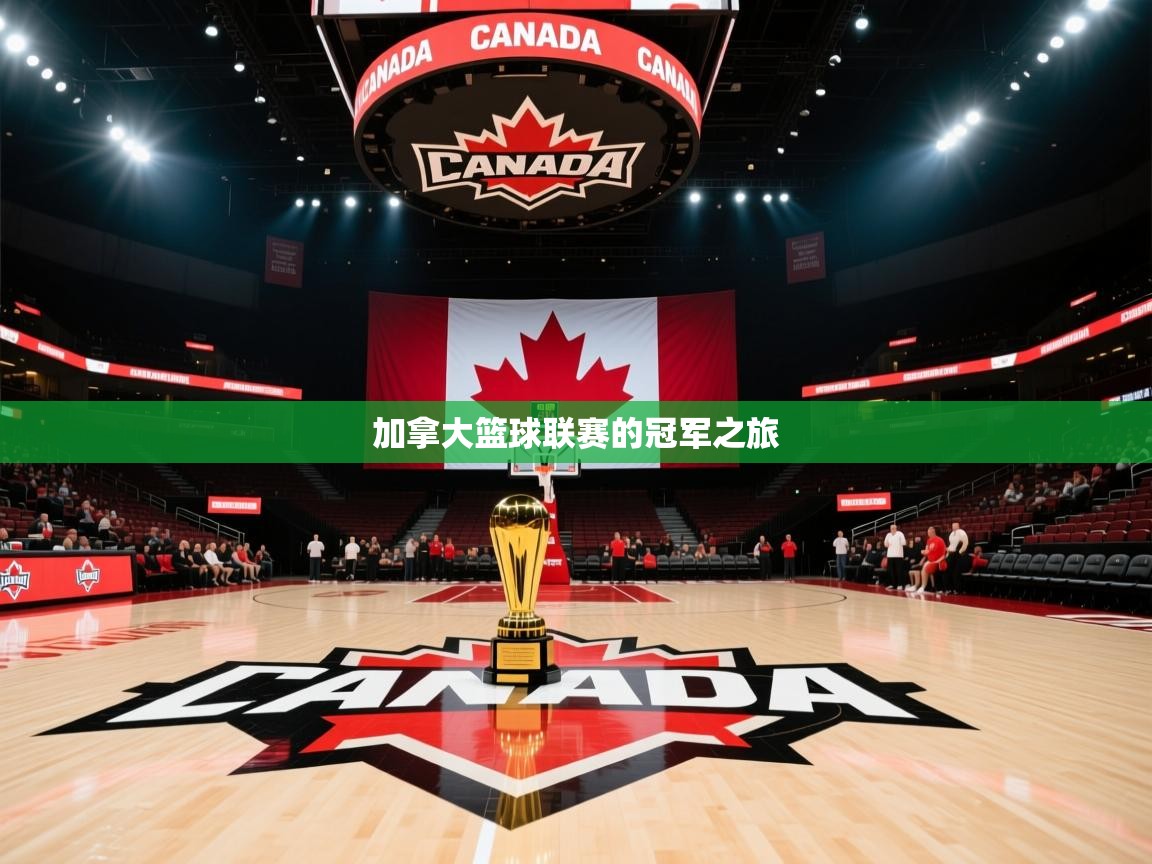 加拿大篮球联赛的冠军之旅 第1张
